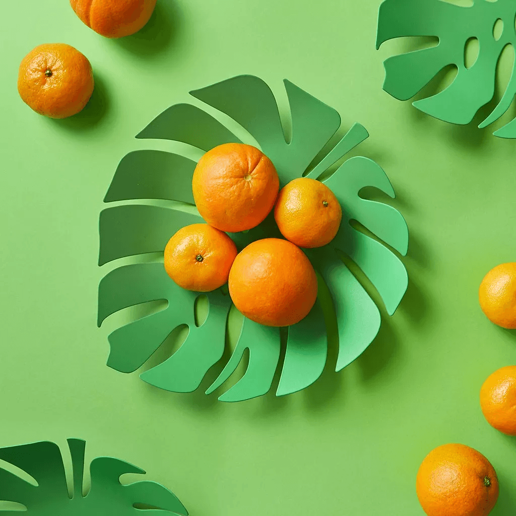 Balvi Monstera Fruit Bowl - Green - €24, Shop now at Red Hot Foods